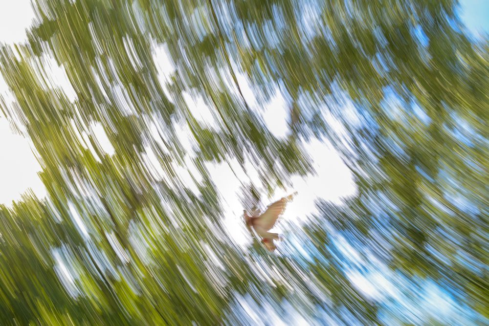 Фотография автора Тархов Никита