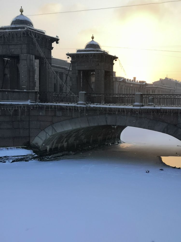 Photo #9071015