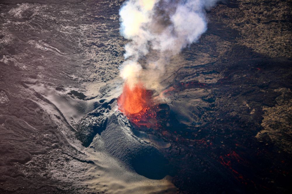 Photograph by Christine ECHEVET-ADAM de VILLIERS