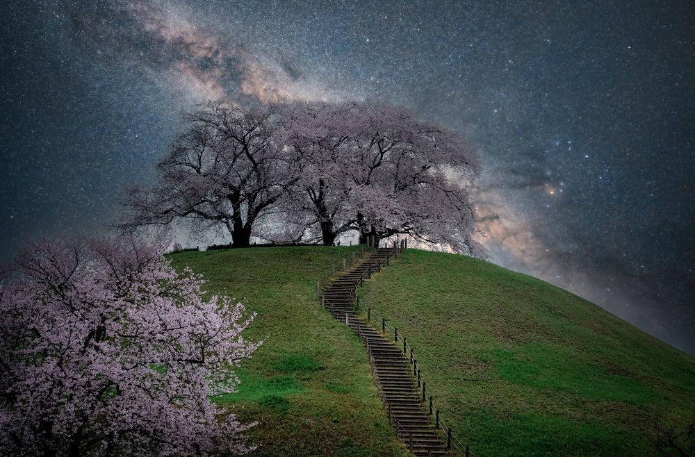 Photograph by Tuấn Phạm Văn