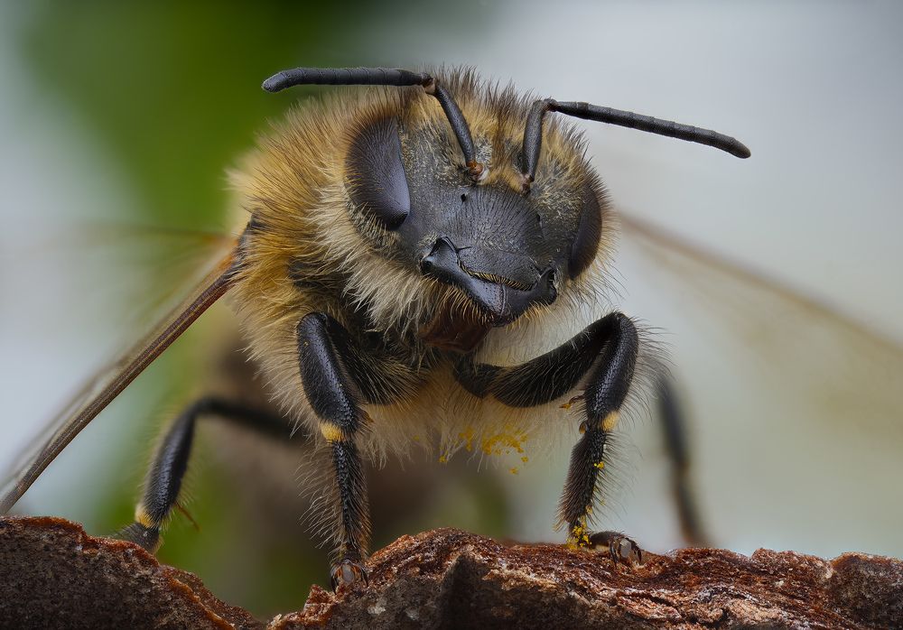 Photograph by Юрий Юрьевич