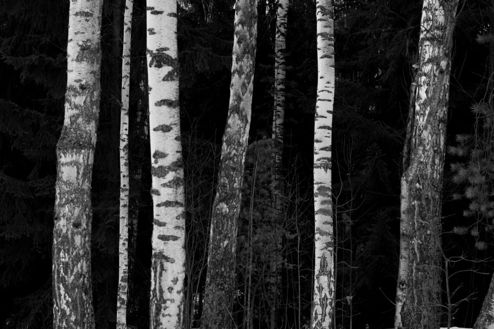 Photograph by Вета Юн