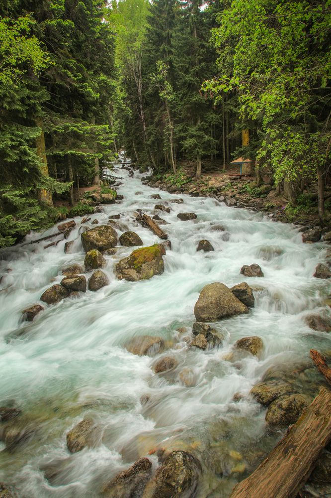 Фотография автора Кривенко Владимир