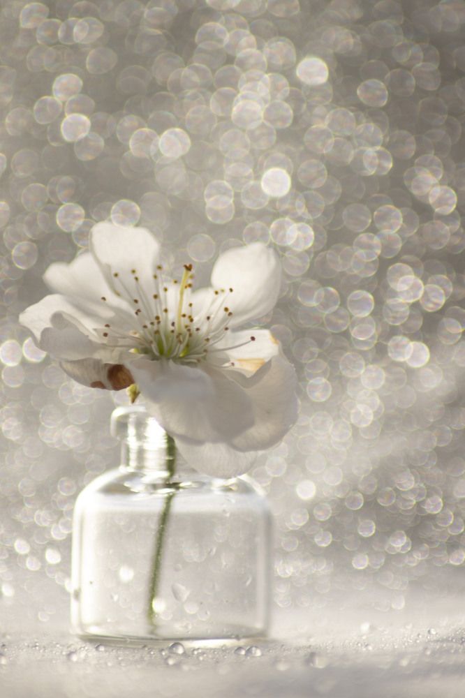 Photograph by Анастасия Рабочева