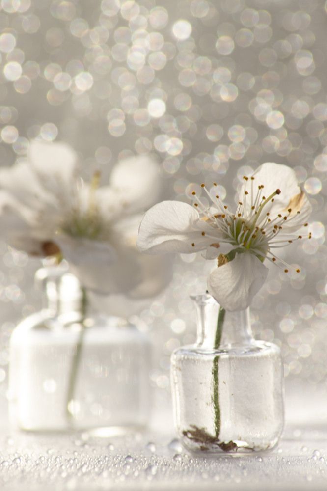 Photograph by Анастасия Рабочева