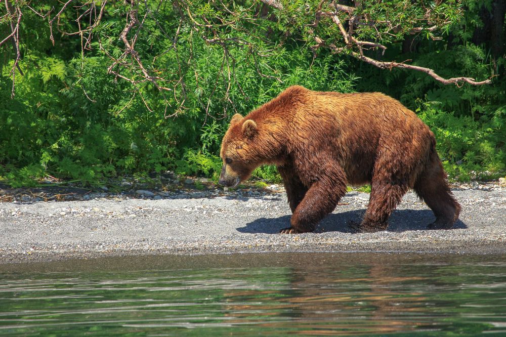 Фотография автора Александр Довганюк