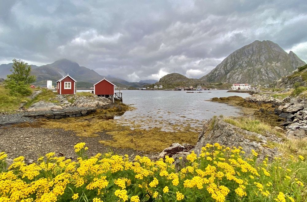 Photograph by Janina Segeda