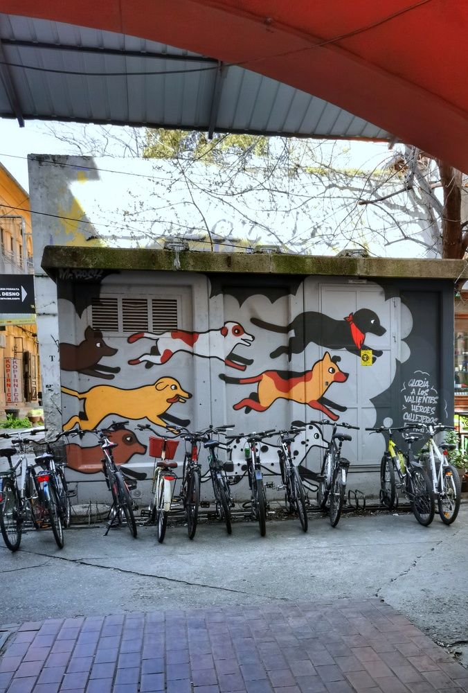 Photograph by Виктория Федосеенко