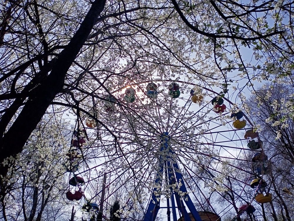 Photograph by Анна Лагун