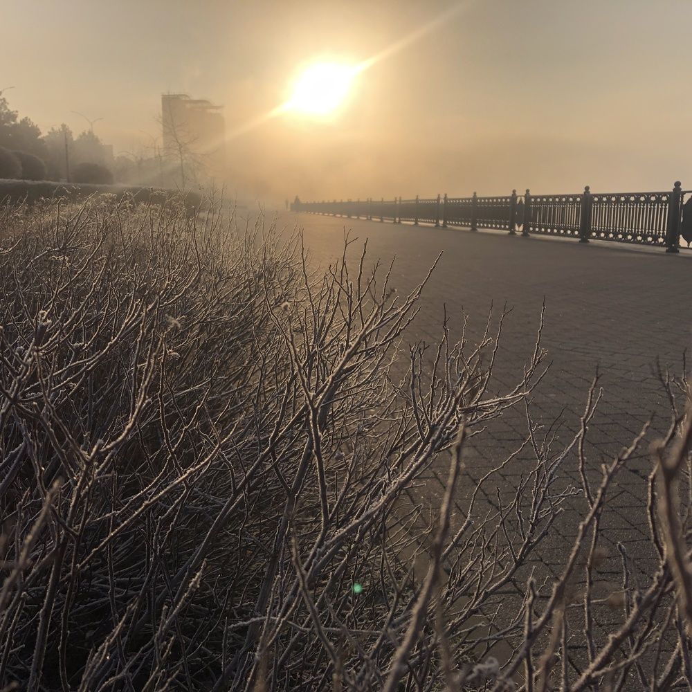 Photograph by Амина Мила