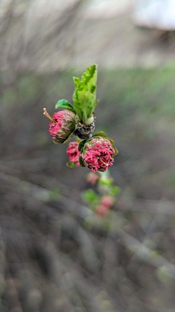 Photograph by Вероника Колбасова