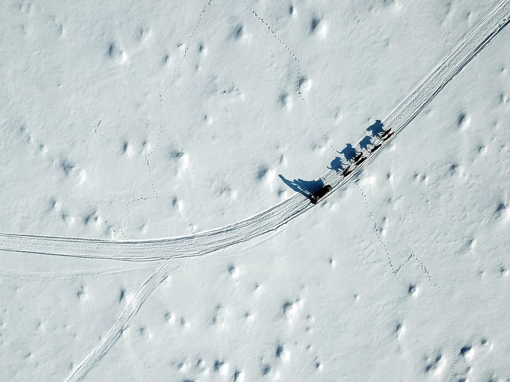 Созвездие Гончих Псов