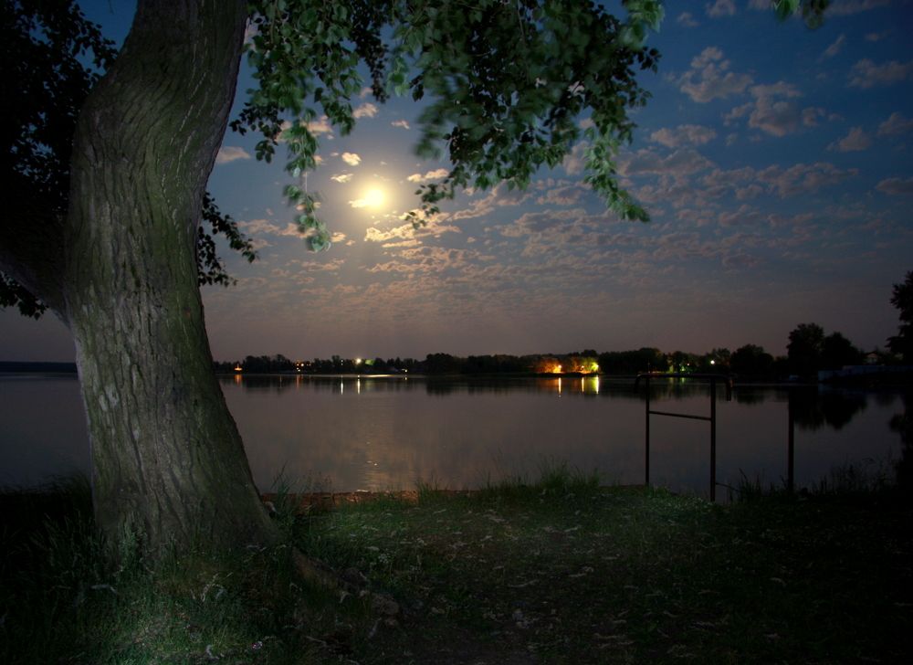 Фотография автора Nelya  Lysenko