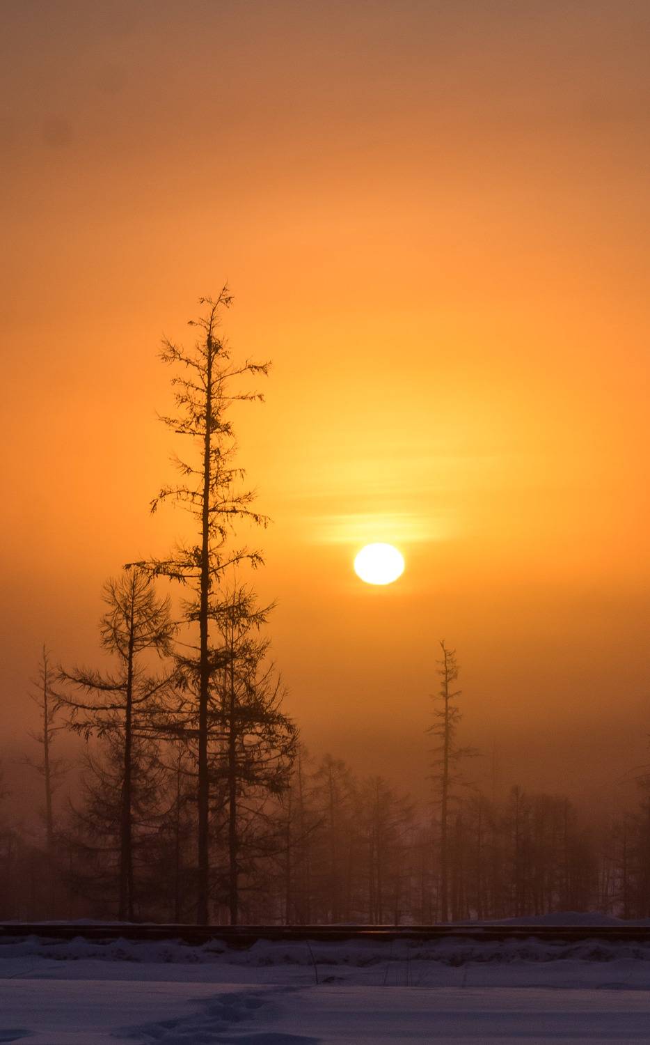 Photo #9072014
