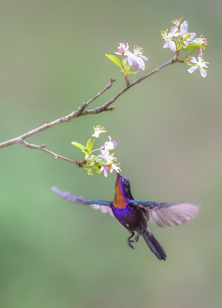 Photograph by VOON WAH WONG
