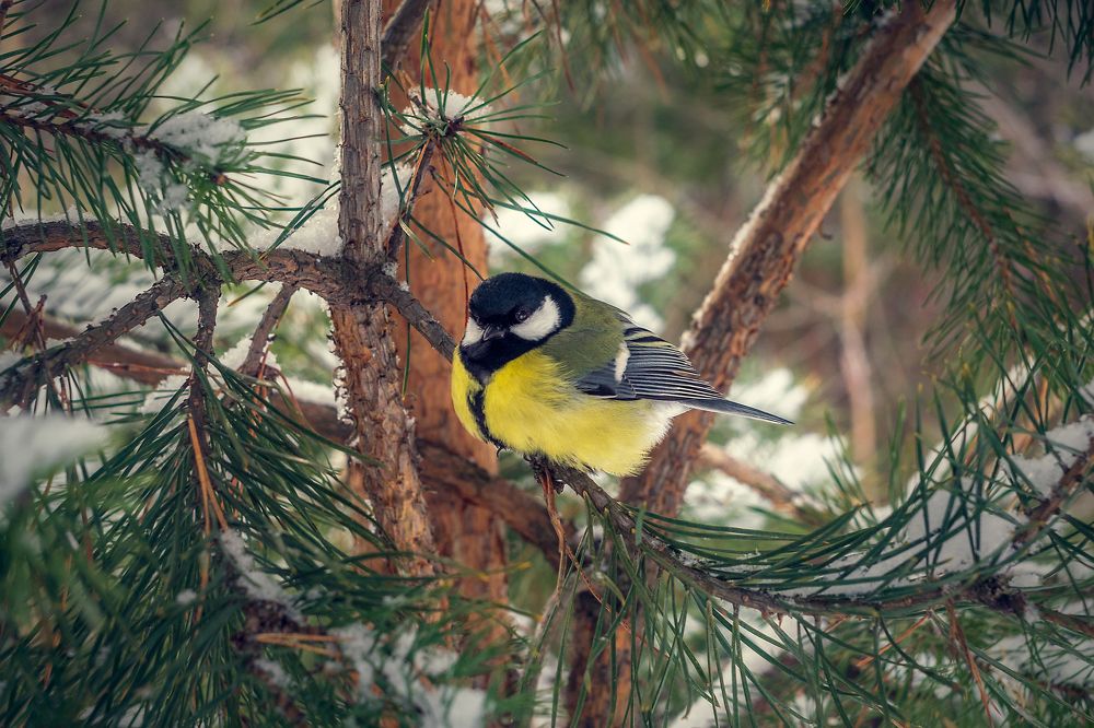 Photograph by Евгений Малинин