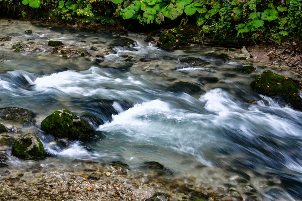 Photograph by Олег Корешонков