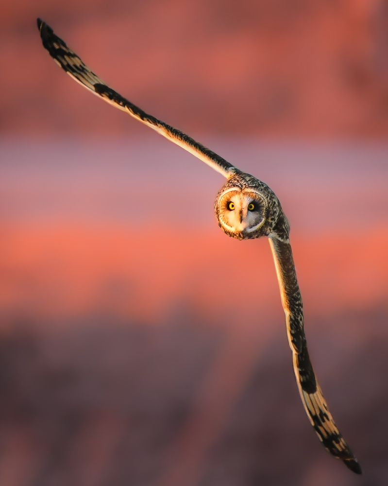 Photograph by Raheel Azim