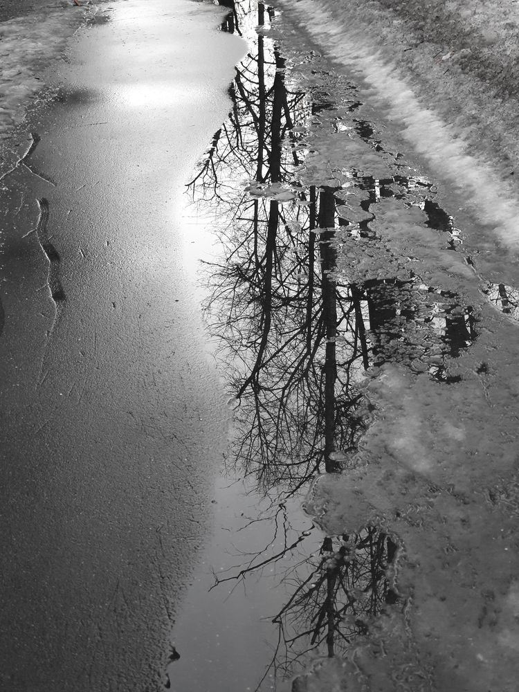 The mirror of spring