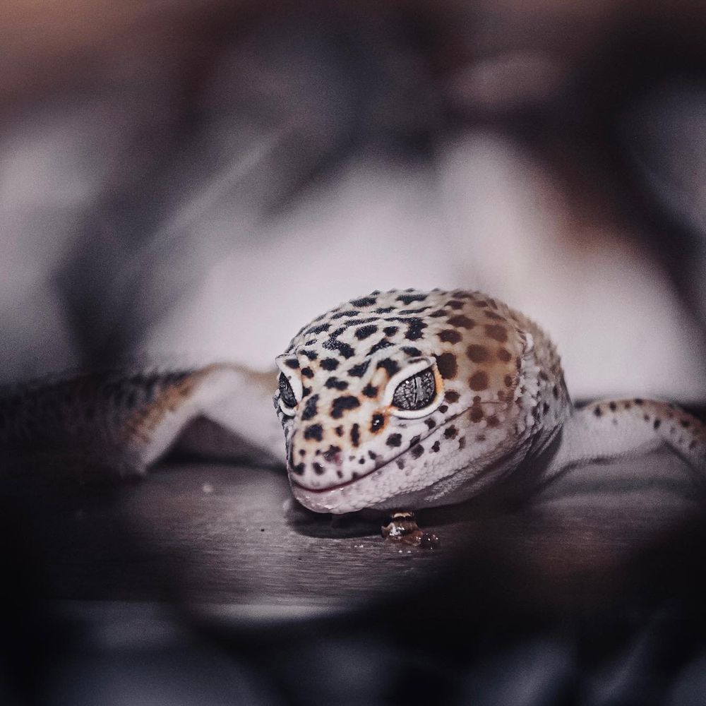 Photograph by Евгения Иванова