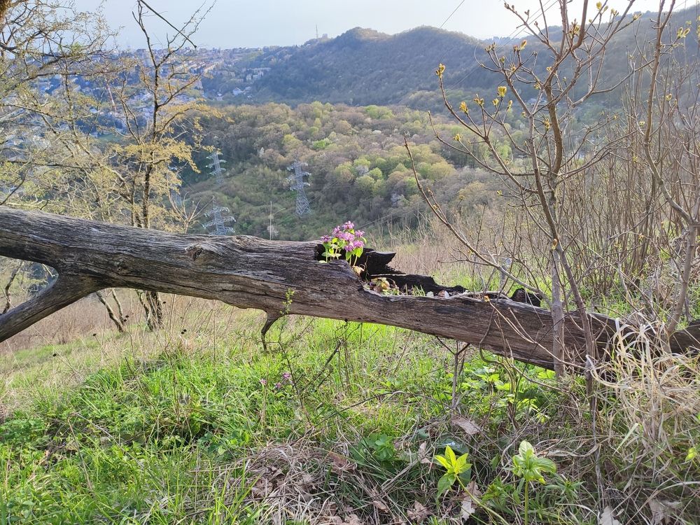 Photograph by Николай Ковальчук