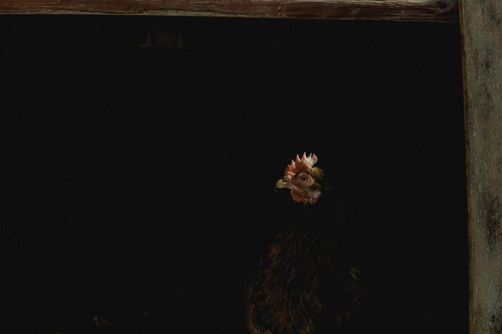 Photograph by Elena Kilina