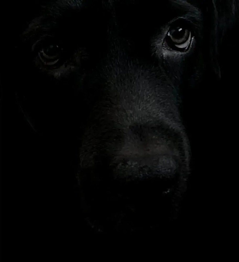 Photograph by Ирина