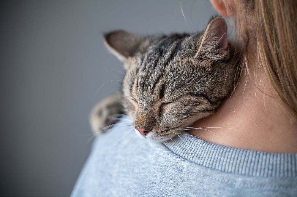 Photograph by Любовь Галушкина