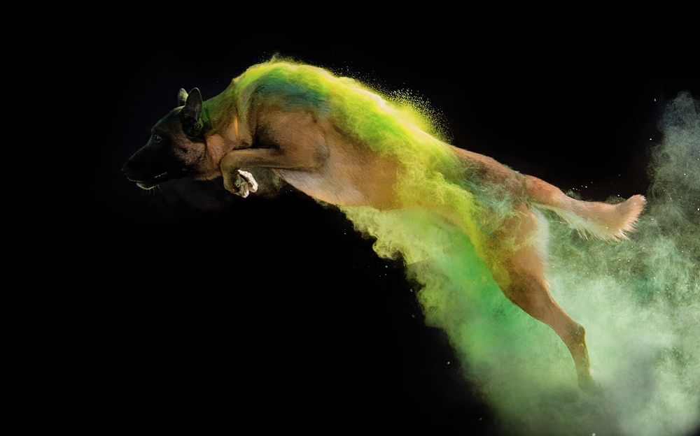 Photograph by Жанна Дандыбаева