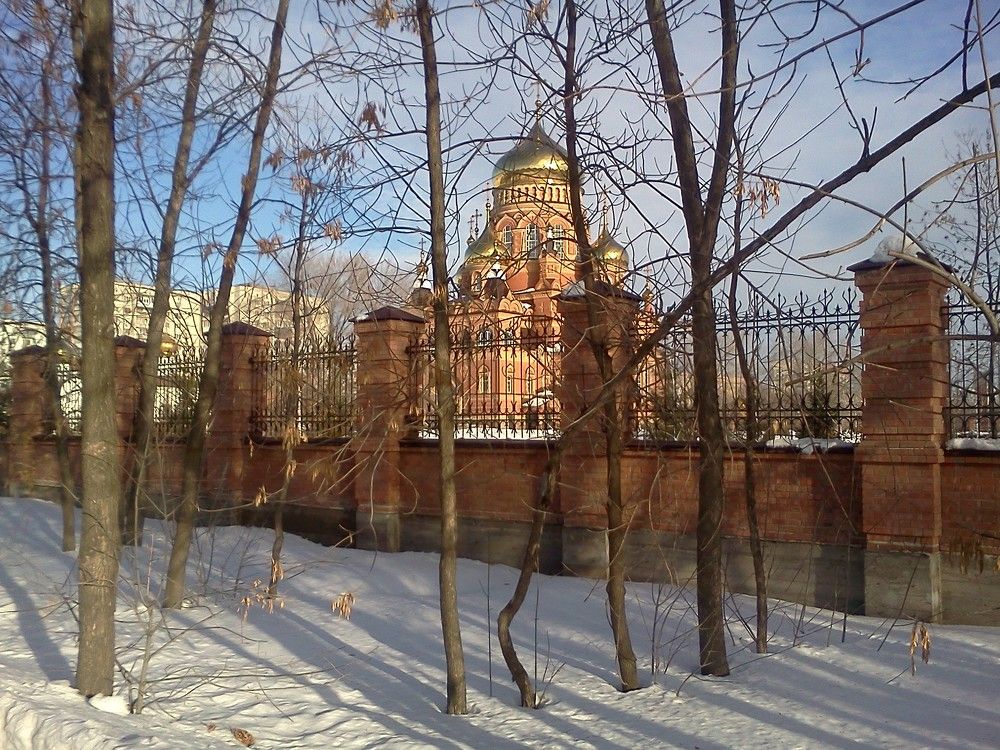 Photograph by карякина мария