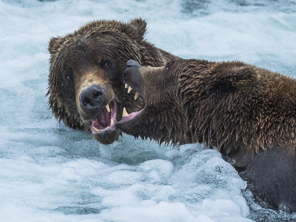 Photograph by Семен Шустер