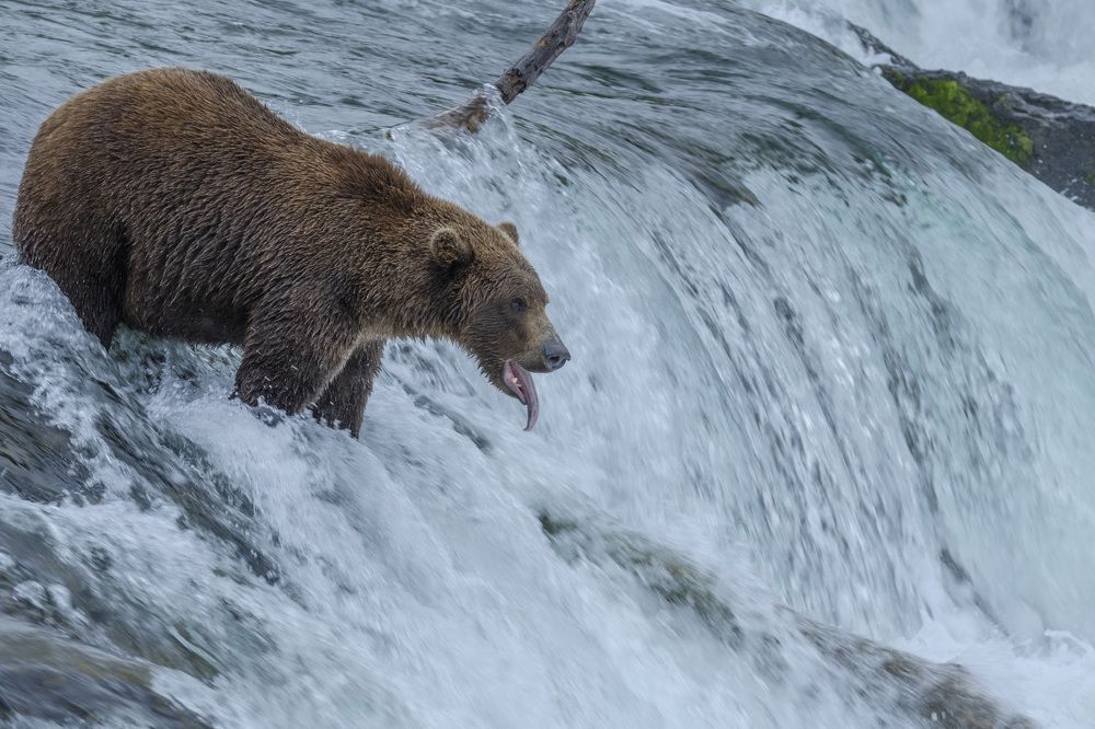 Photograph by Семен Шустер