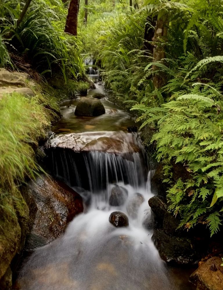 Photograph by Naveena Wimalarathne