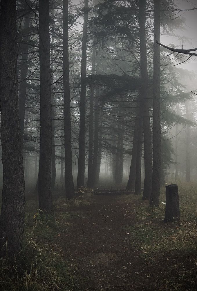 Photograph by Nuka Daniels