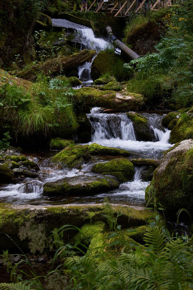 Photograph by Наталья Воробьева