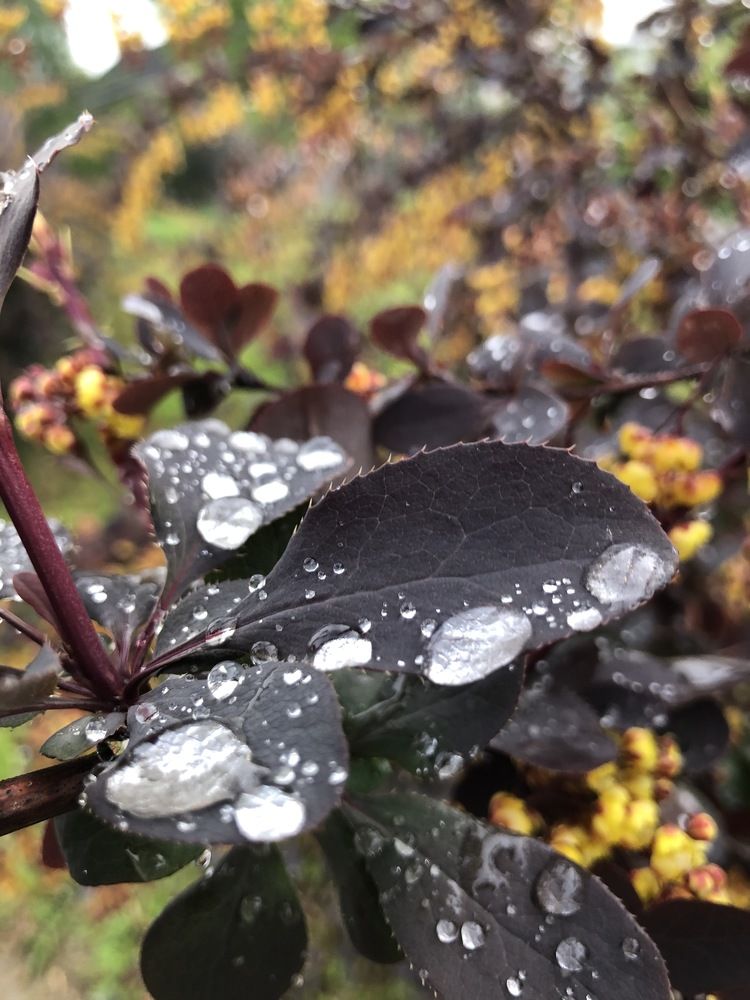 Photograph by Сяргей Кулик