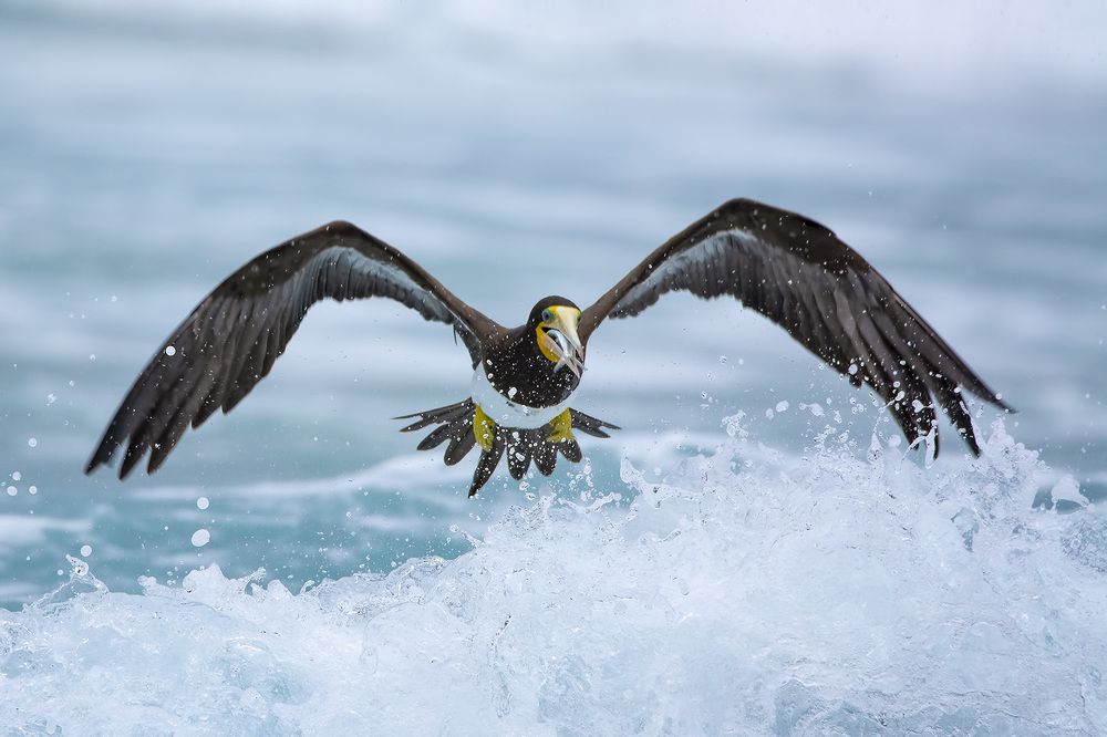 Photograph by André Inidio