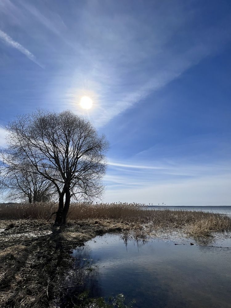 Photograph by Татьяна Санеева