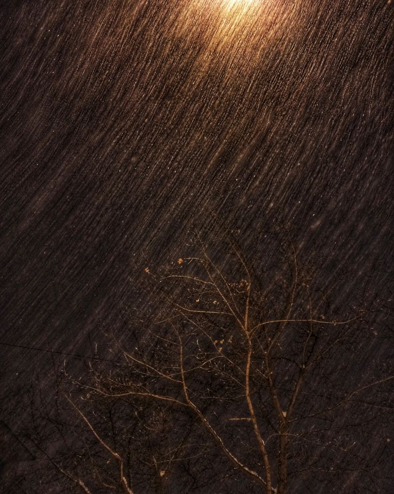 Photograph by Elena Bogomolova