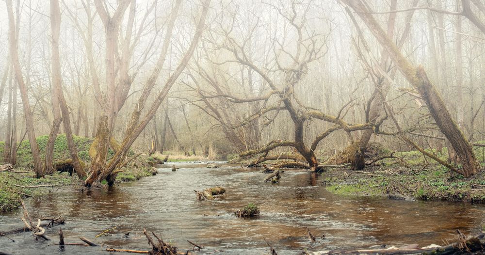 Фотография автора Игорь Ефремычев