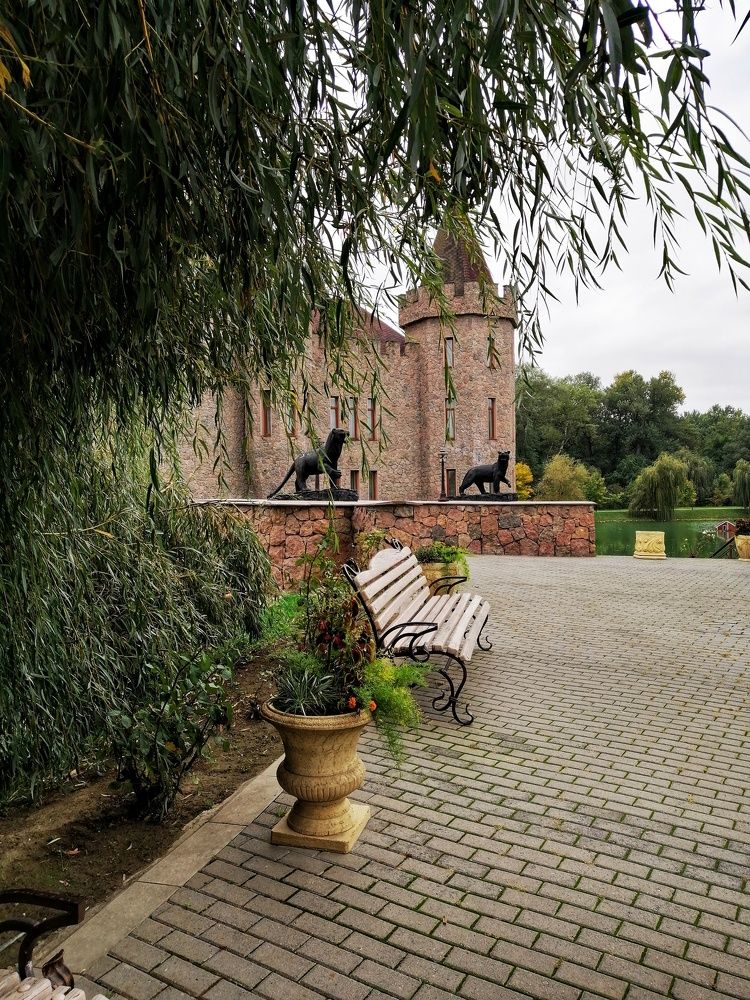 Photograph by Татьяна Чарушина