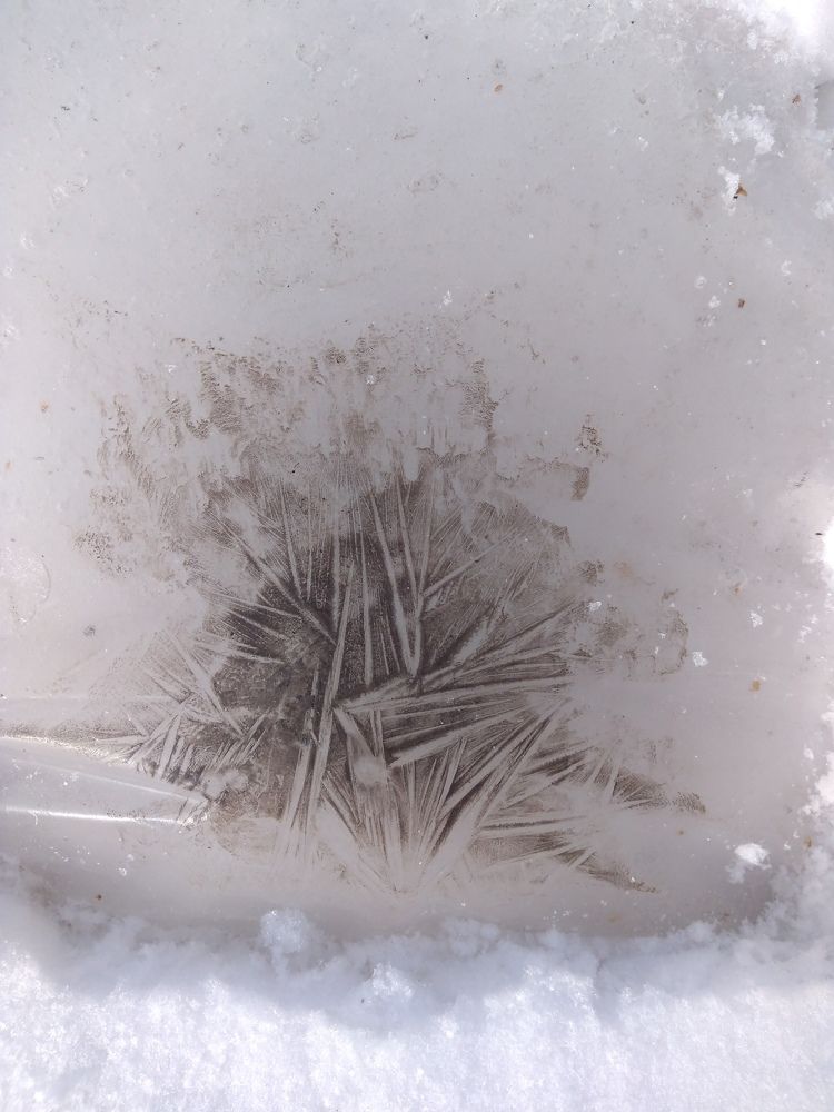 Photograph by СТЕПАН ДЖУЛАКИДЗЕ