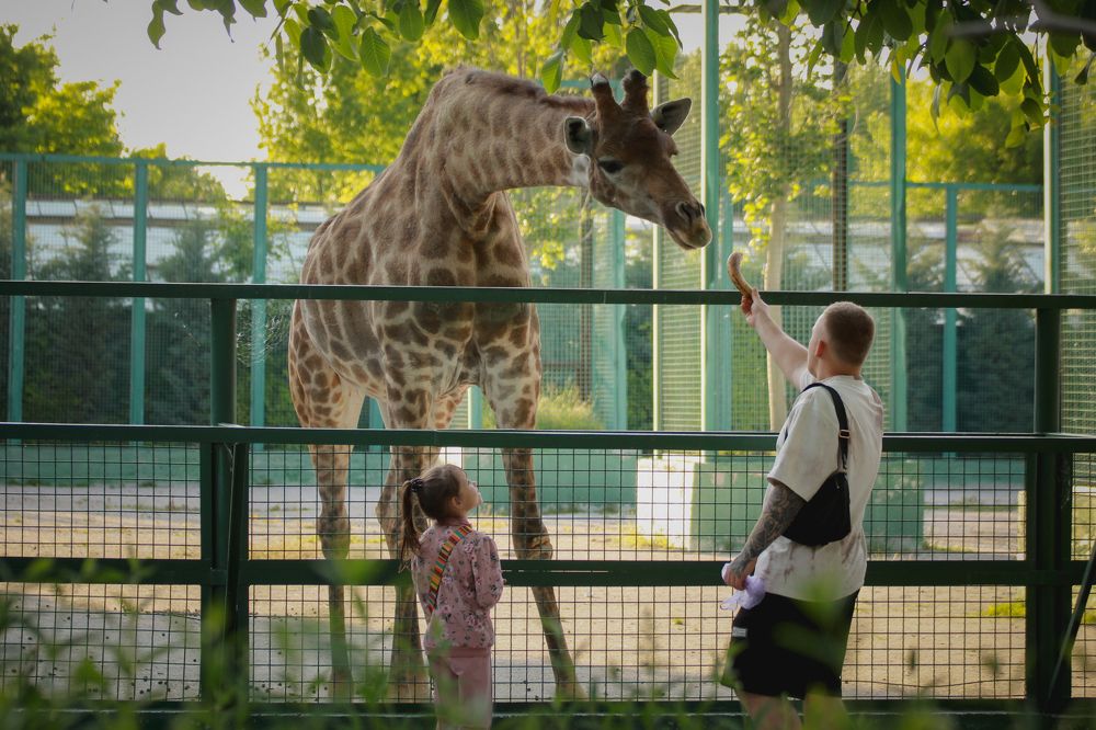 Photograph by Львица Катюша