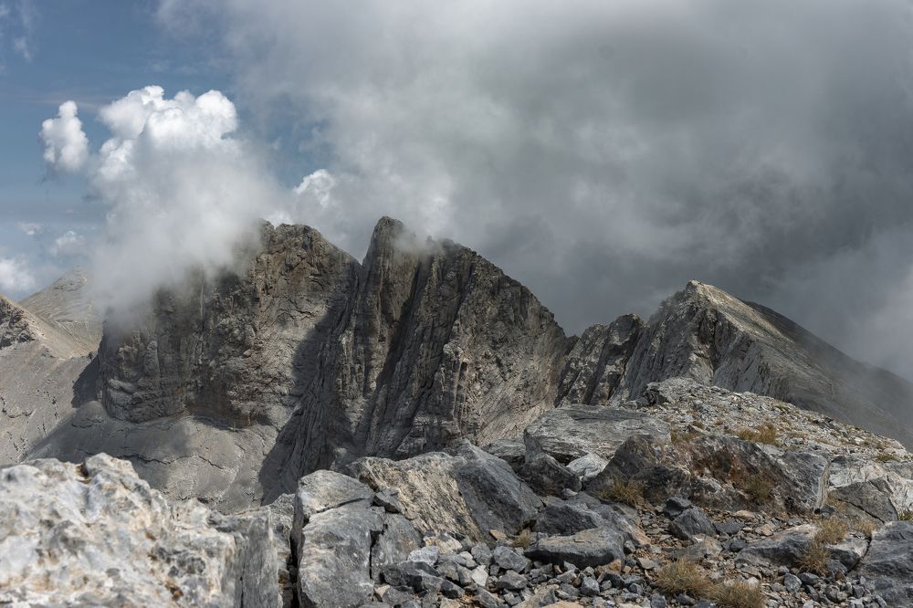 Photograph by Sajkovski Dejan