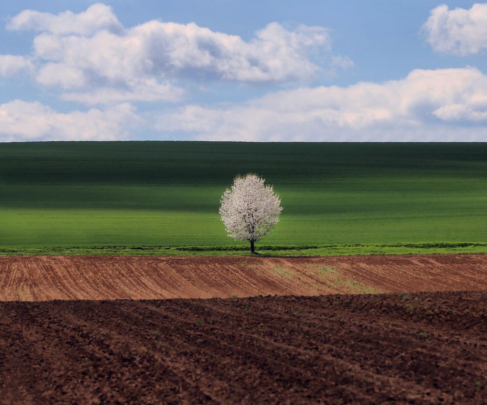 Photograph by Tóth František