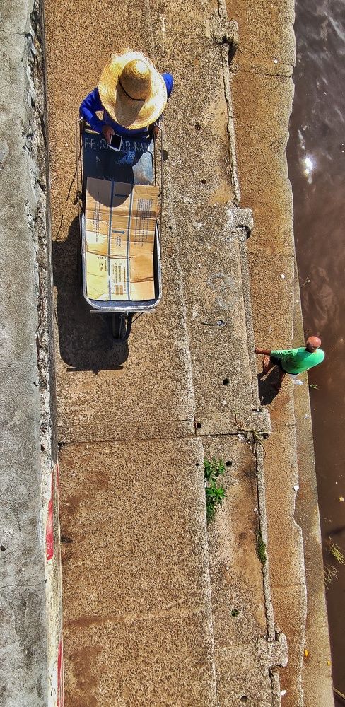 Фотография автора Diogo Thompson Ribeiro