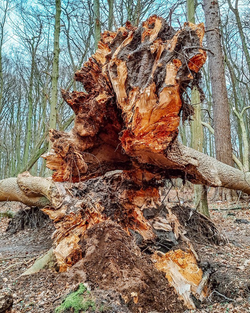 Photograph by Мелетян Наталья