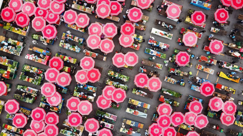 Photograph by Nikita