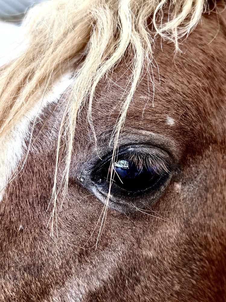 Photograph by Aleksandra Tyrtyshnaia