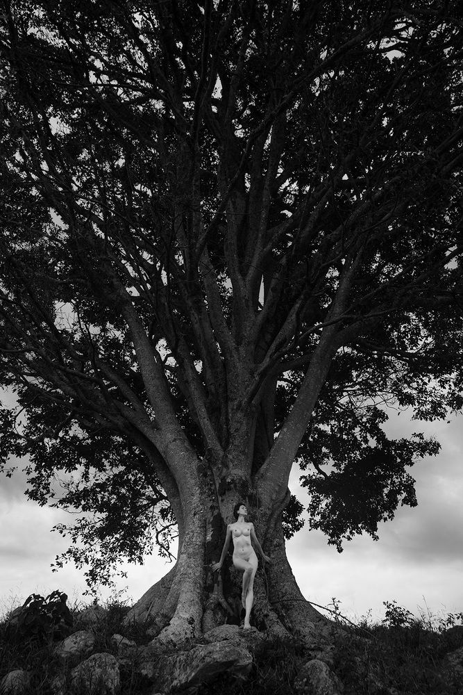 Photograph by Giovanni Gondim de Castro